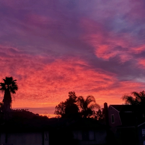 COPY - Meet your Posher, Justin - Picture 2 of 2